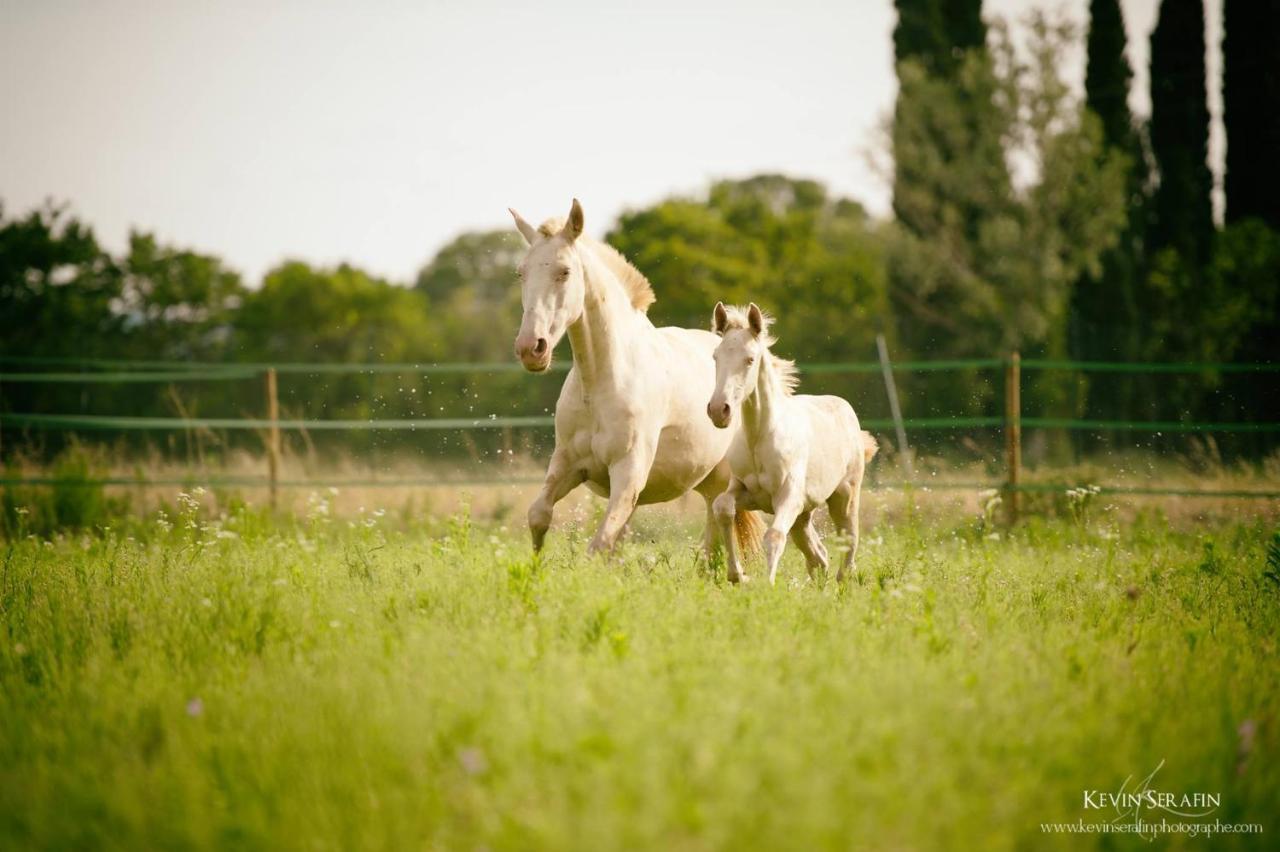 Domaine Cap Rubis Bed and breakfast