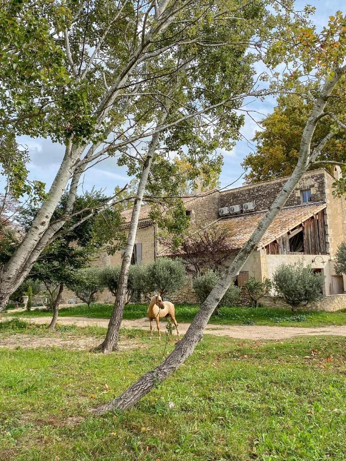 Bed and breakfast Domaine Cap Rubis Paradou
